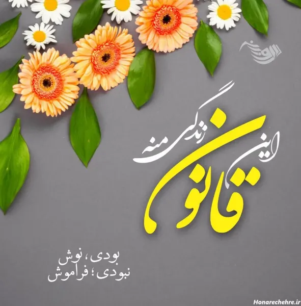  عکس جالب برای استوری