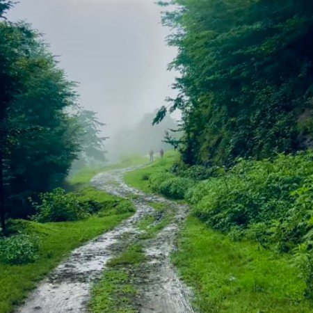  عکس جاده برای پروفایل