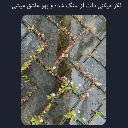  85 عکس جاده در روز