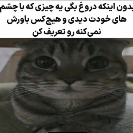  عکس چالشی