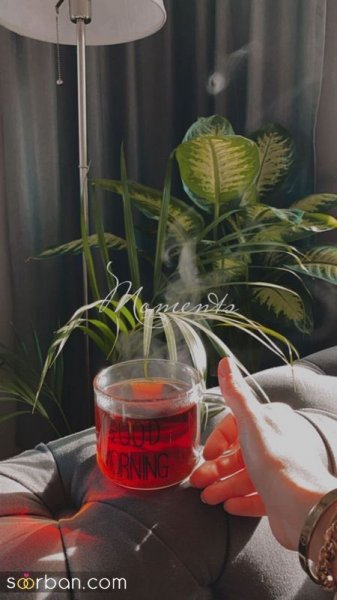  عکس برای استوری چای