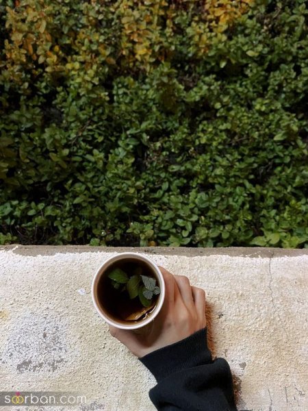  عکس برای استوری چای