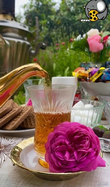  عکس چای در شب