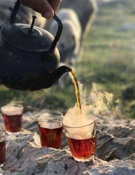  عکس چایی در خانه