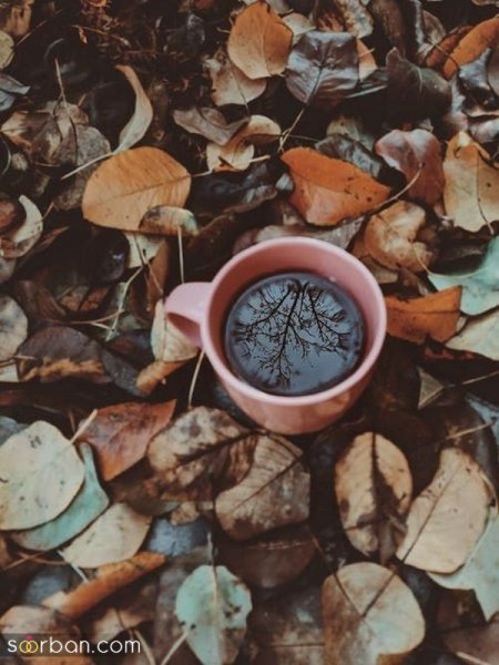  عکس چای برای پروفایل