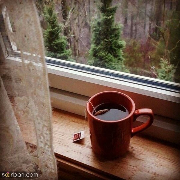 عکس چای برای پروفایل