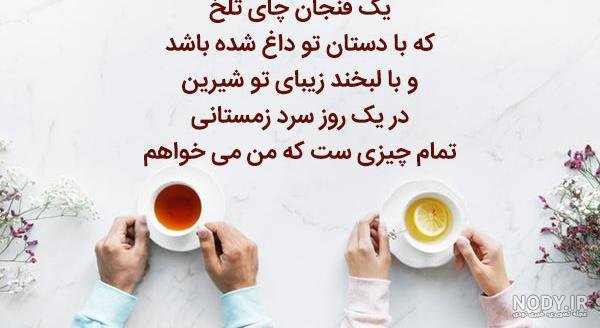  عکس چای دونفره در طبیعت