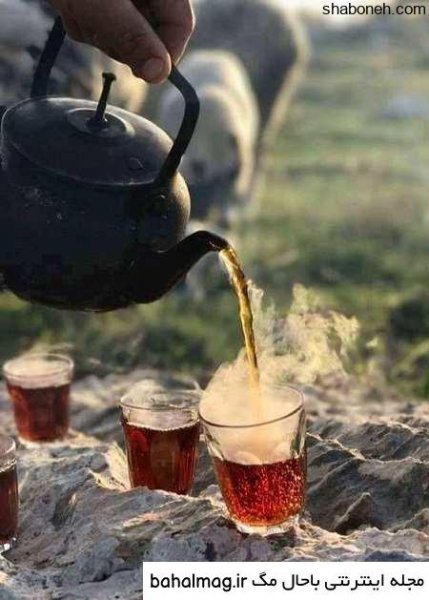  عکس فنجان چای در پاییز