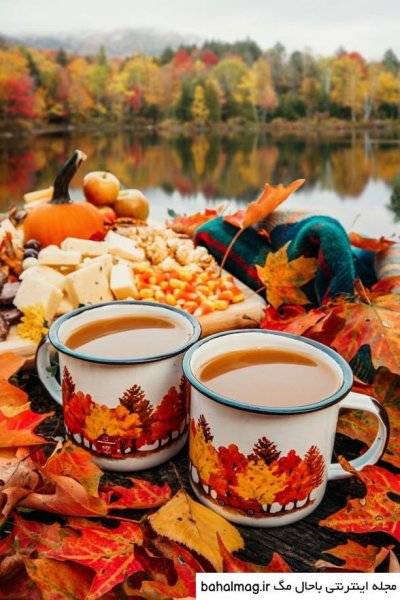  عکس فنجان چای در پاییز