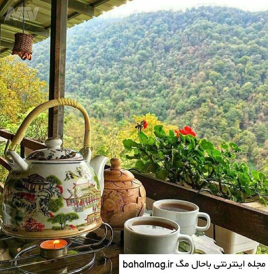  عکس فنجان چای در پاییز