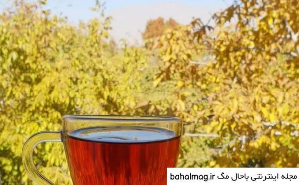  عکس فنجان چای در پاییز