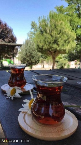  عکس استوری چایی