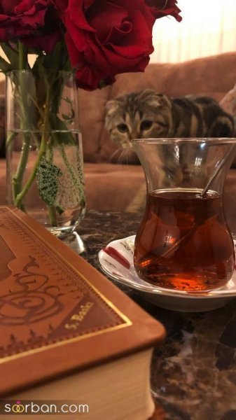  عکس چایی در خانه برای استوری