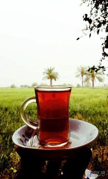  عکس چایی در طبیعت برای استوری