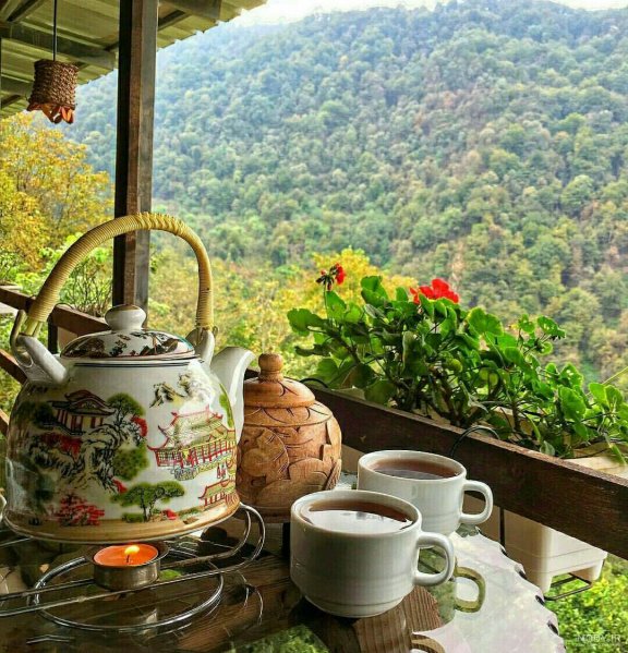  عکس چایی در طبیعت برای استوری