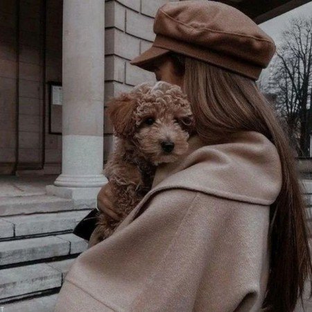  عکس سگهای زیبای خانگی