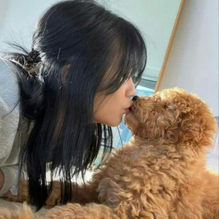  عکس سگ کیوت