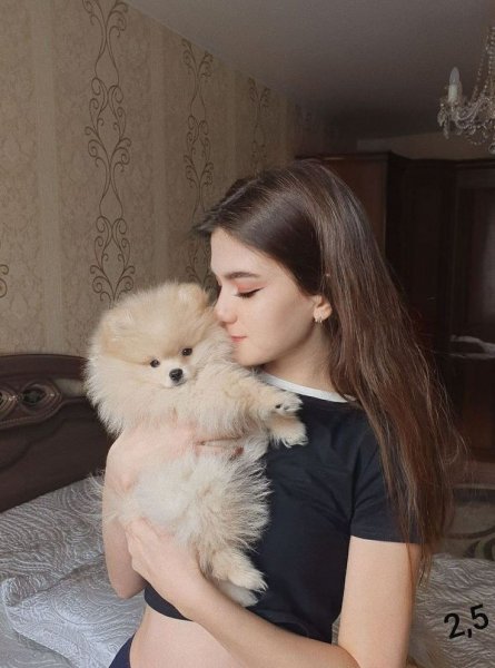 عکس دختر با سگ برای پروفایل فانتزی