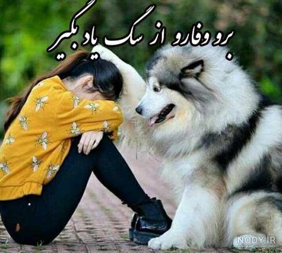  عکس پروفایل دخترونه با سگ پشمالو