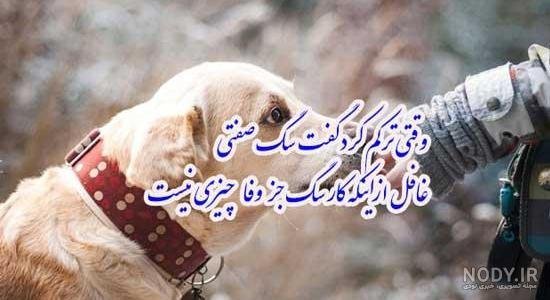  عکس دختر با سگ پاکوتاه
