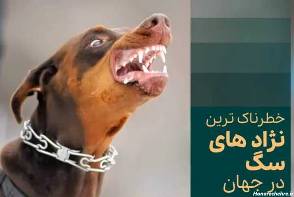  عکس وحشی ترین سگ دنیا