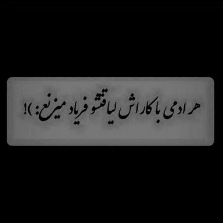  عکس سگ فانتزی واقعی