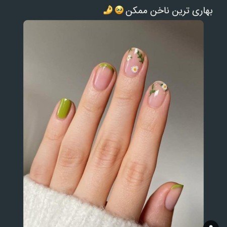  طرح ناخن مجلسی