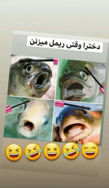  78 عکس طرح ناخن ساده