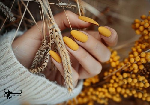 66 عکس طرح ناخن پاییزی جدید