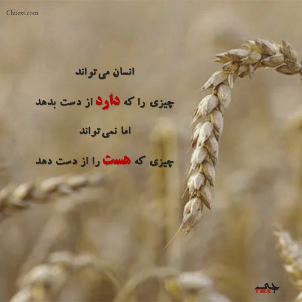  عکس نوشته