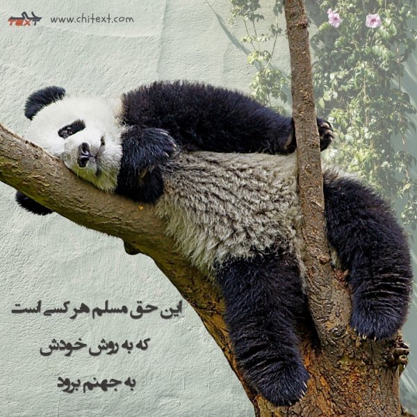  584 عکس نوشته های زیبا و مفهومی