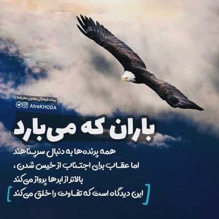  پروفایل موفقیت خودم