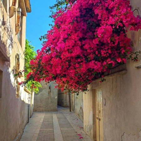  عکس ایران