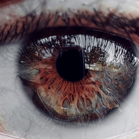  عکس چشم فیک برای پروفایل
