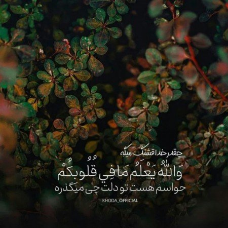  عکس های امید