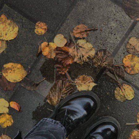  عکس های خیابان