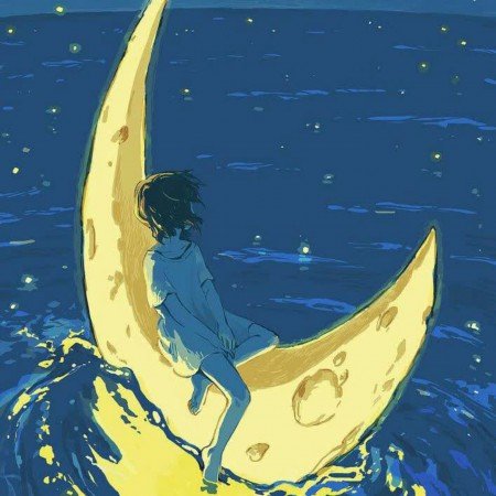  عکس های شب
