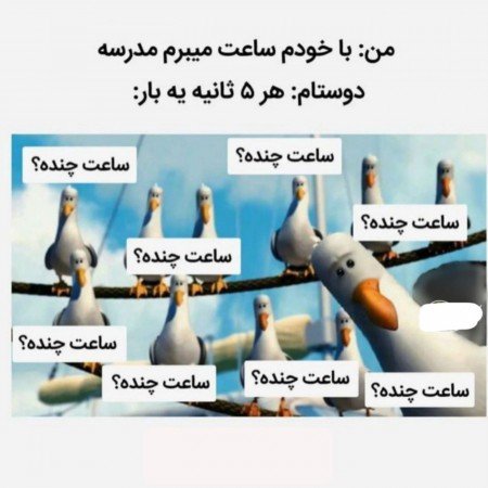  عکس های مدرسه