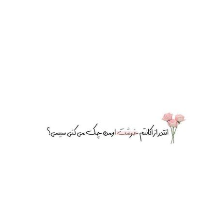  عکس های مدرسه