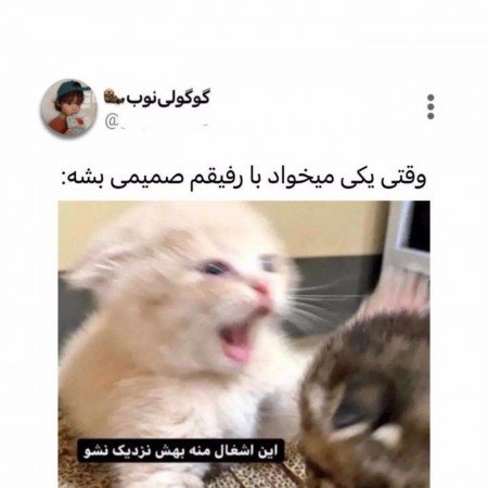  عکس های مدرسه