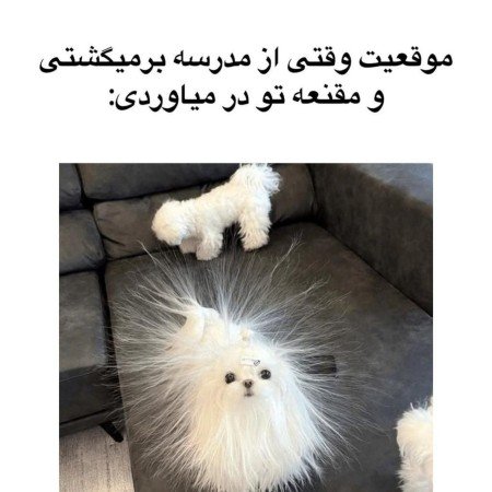  عکس های مدرسه