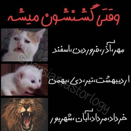  عکس های سرگرمی