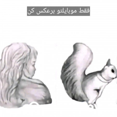  عکس های سرگرمی