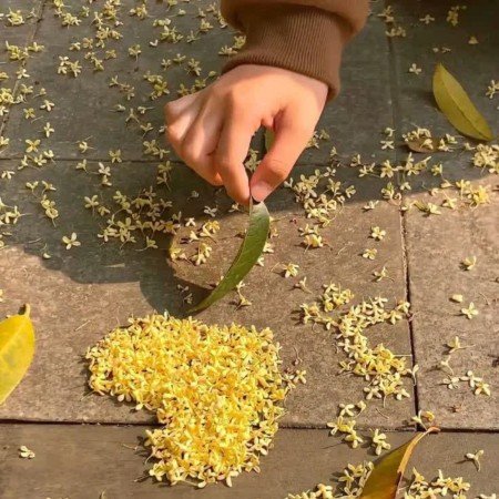  عکس های خورشید