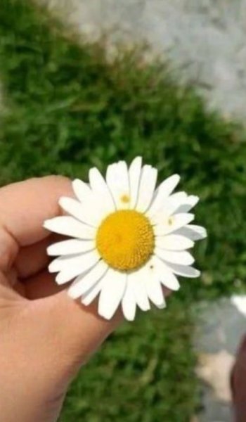  عکس طلوع خورشید برای استوری