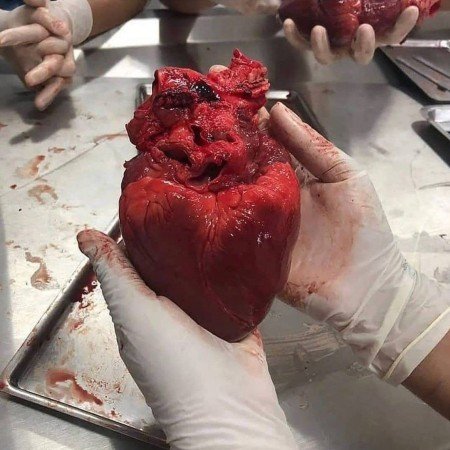  عکس های طراحی