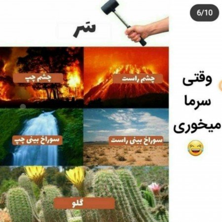  عکس های بامزه