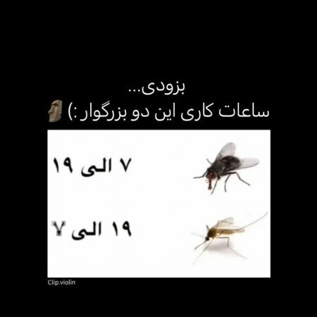  عکس های بامزه