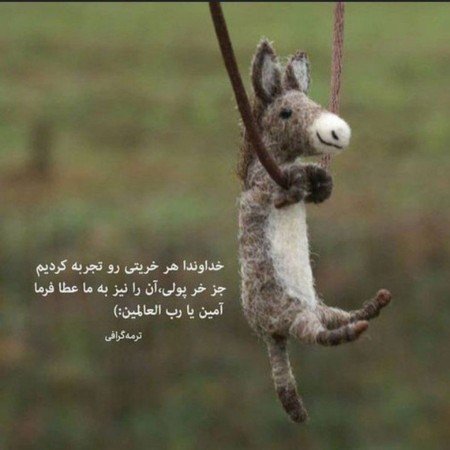  عکس های بامزه
