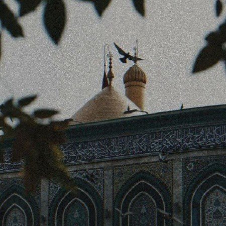  عکس حرم